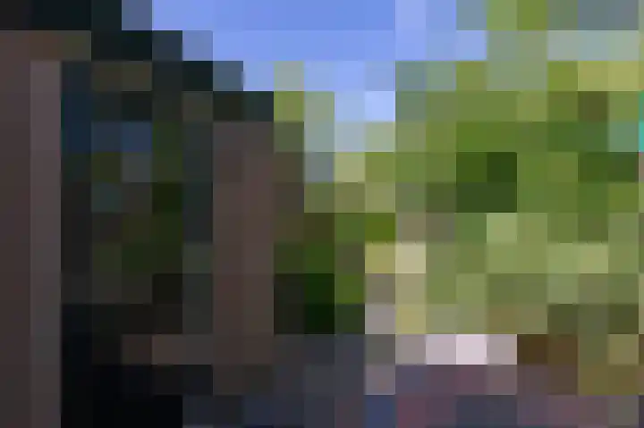 Lombarts 4 Duiven thumbnail 51