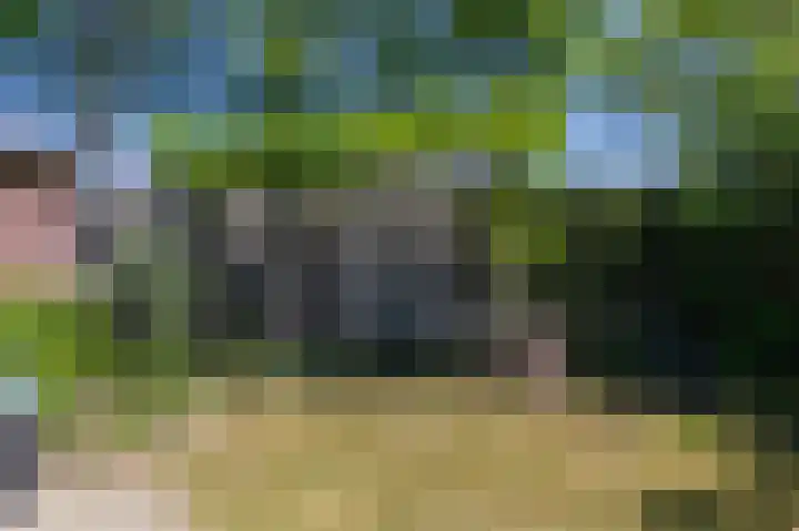 Lombarts 4 Duiven thumbnail 53