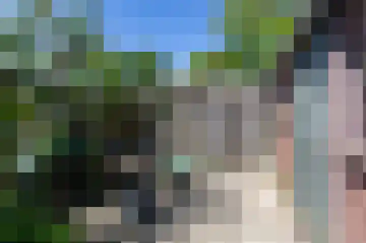 Lombarts 4 Duiven thumbnail 54
