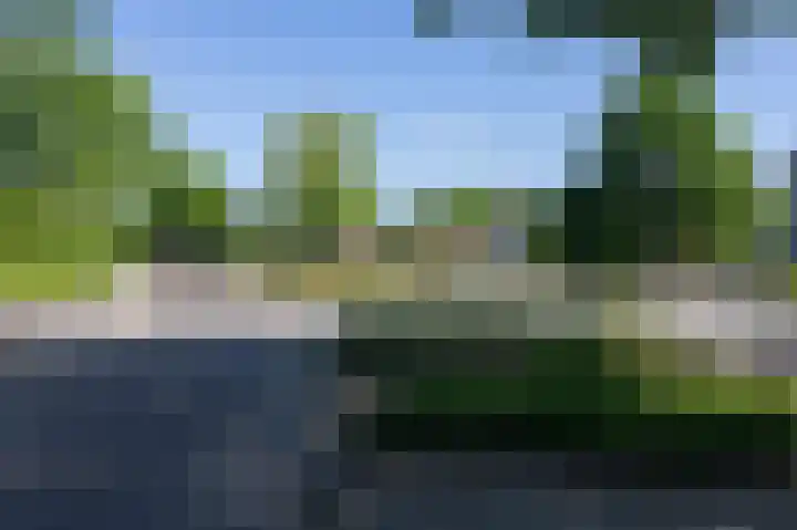 Lombarts 4 Duiven thumbnail 61