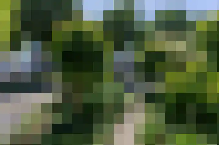 Lombarts 4 Duiven thumbnail 62