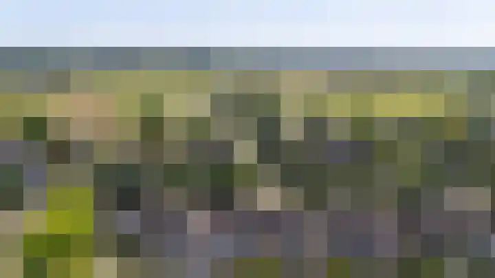 Lombarts 4 Duiven thumbnail 63