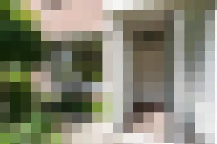 Lombarts 4 Duiven thumbnail 9