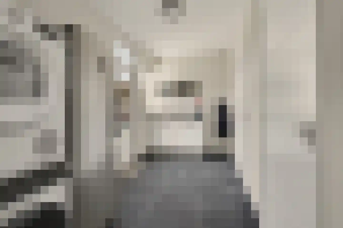 Lombartsstraat 18 Diessen thumbnail 18