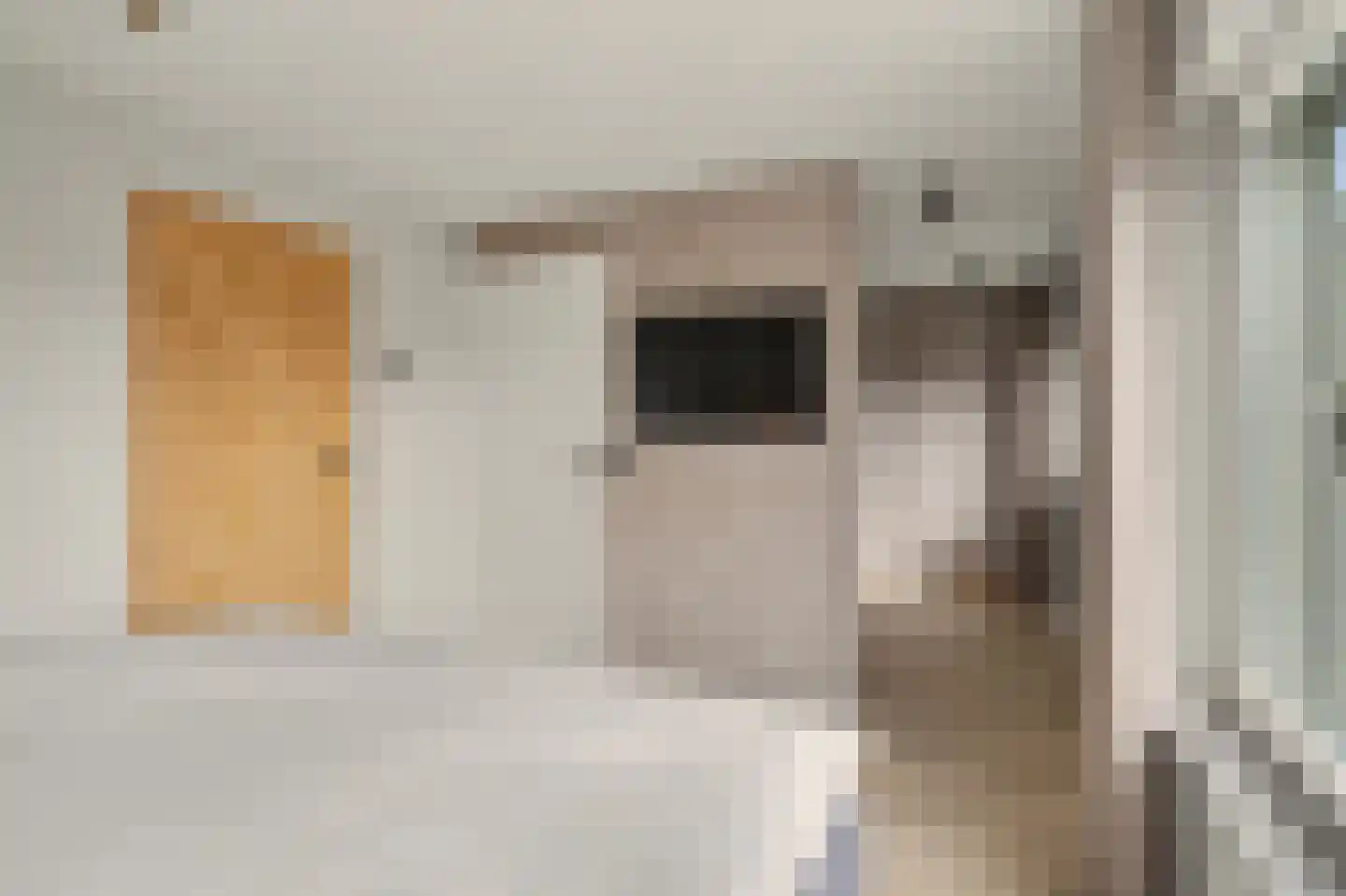 Lombartsstraat 18 Diessen thumbnail 23