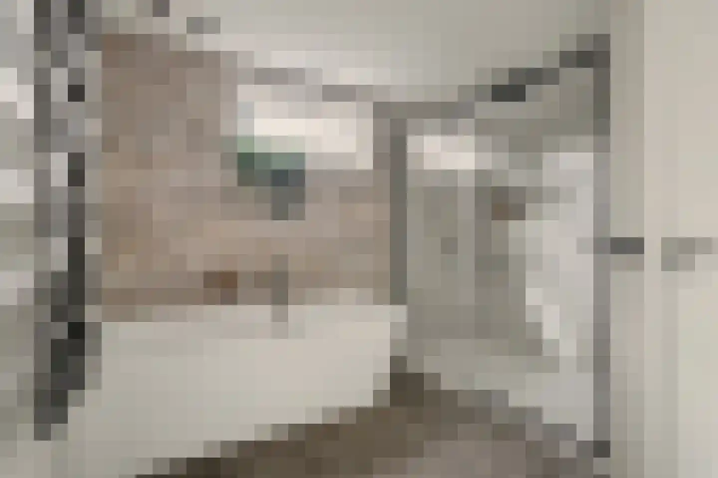 Lombartsstraat 18 Diessen thumbnail 27