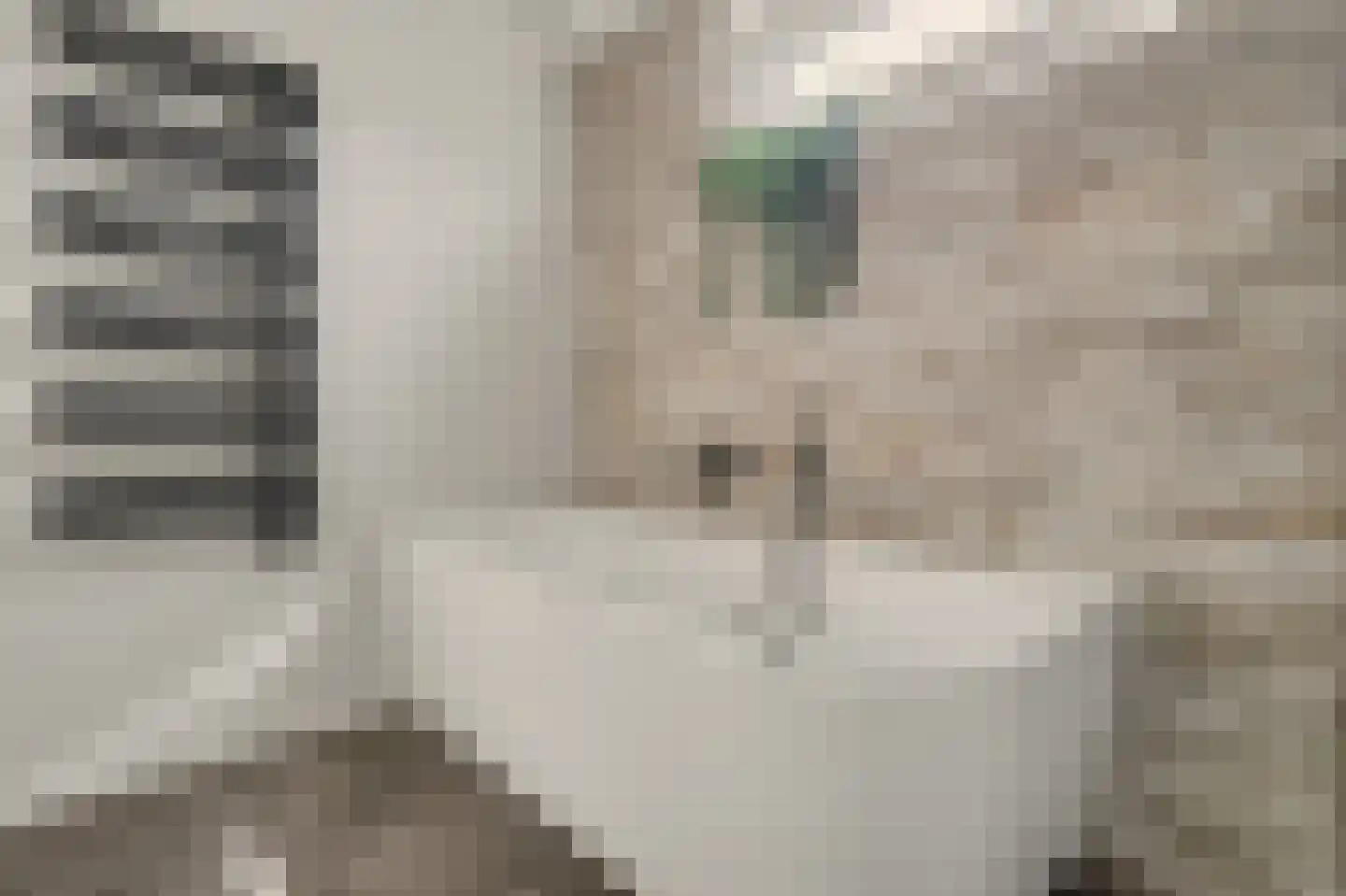 Lombartsstraat 18 Diessen thumbnail 29