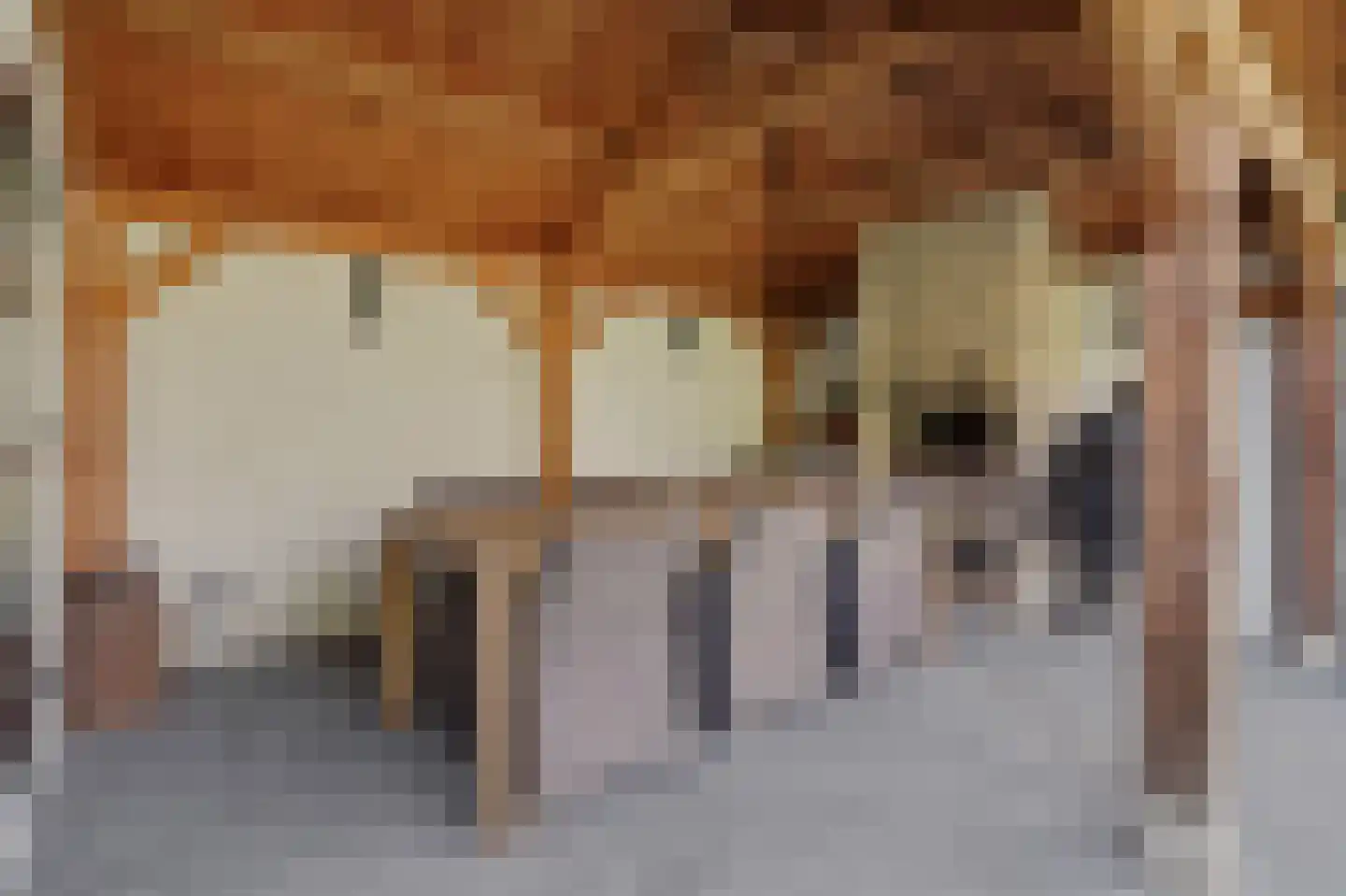 Lombartsstraat 18 Diessen thumbnail 40