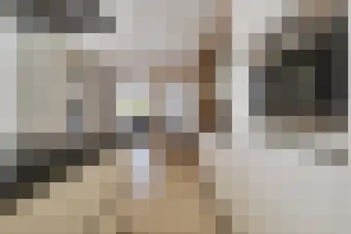 Lombok 14 Zoetermeer thumbnail 11