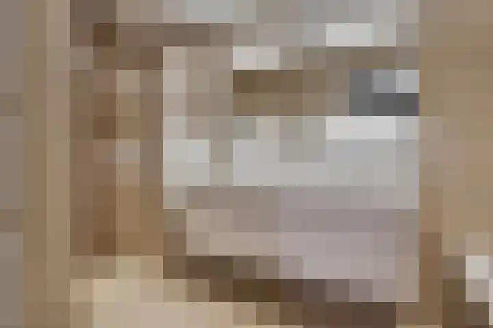 Lombok 14 Zoetermeer thumbnail 22
