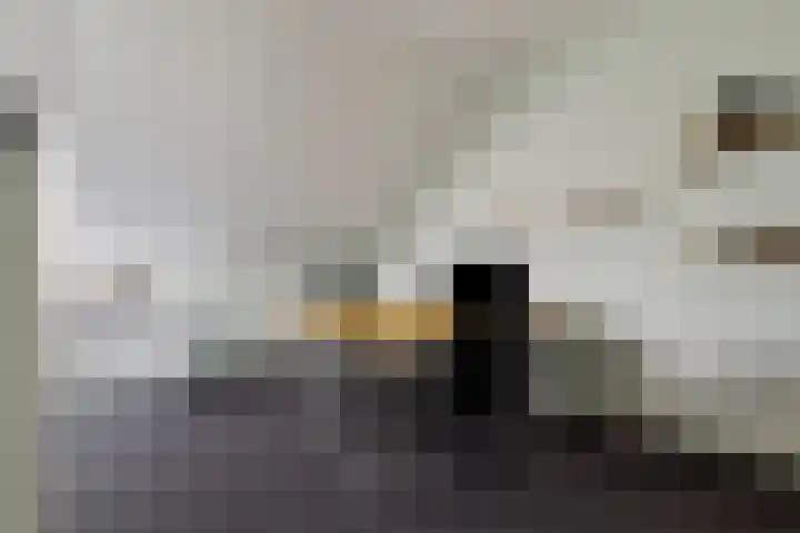 Lombok 14 Zoetermeer thumbnail 32