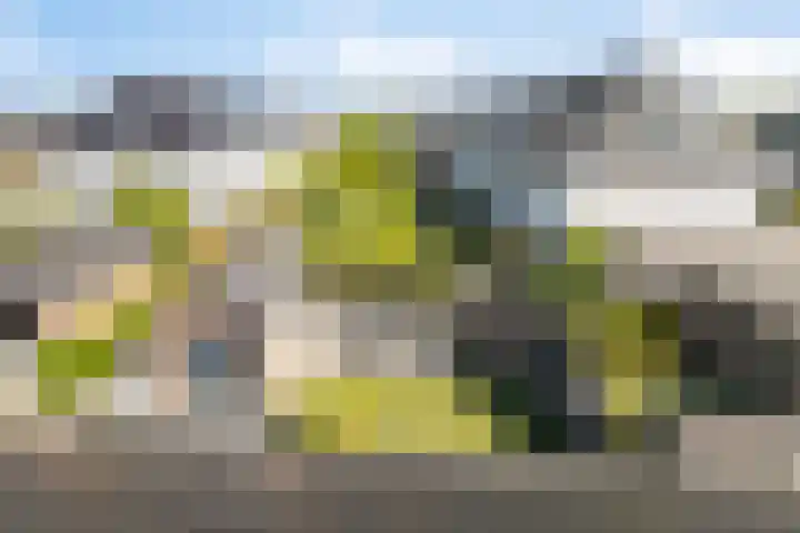 Lombok 14 Zoetermeer thumbnail 35