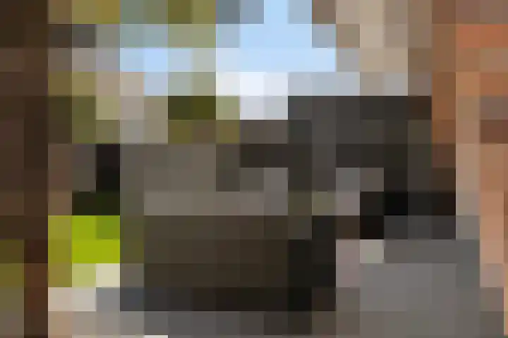 Lombok 14 Zoetermeer thumbnail 38