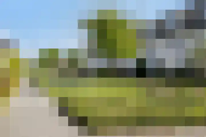 Lombok 14 Zoetermeer thumbnail 45
