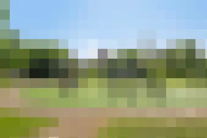 Lombok 14 Zoetermeer thumbnail 46