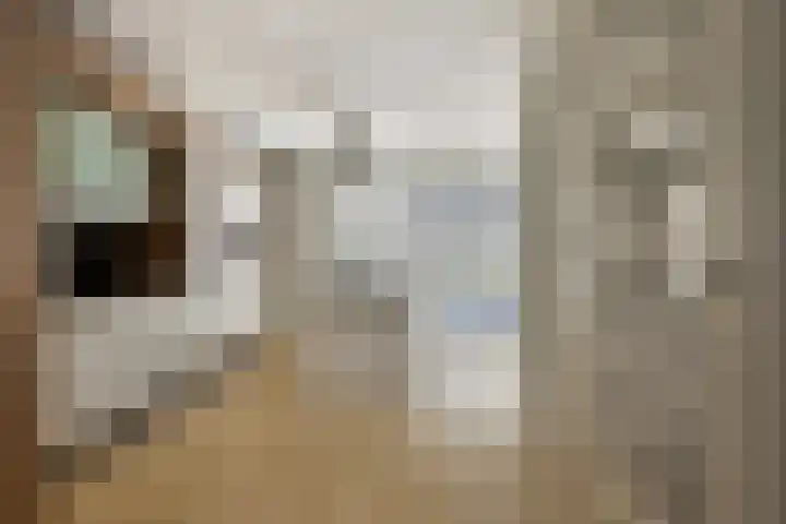 Lombok 14 Zoetermeer thumbnail 7