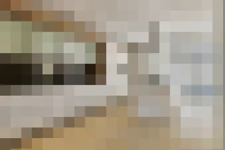 Lombok 14 Zoetermeer thumbnail 8