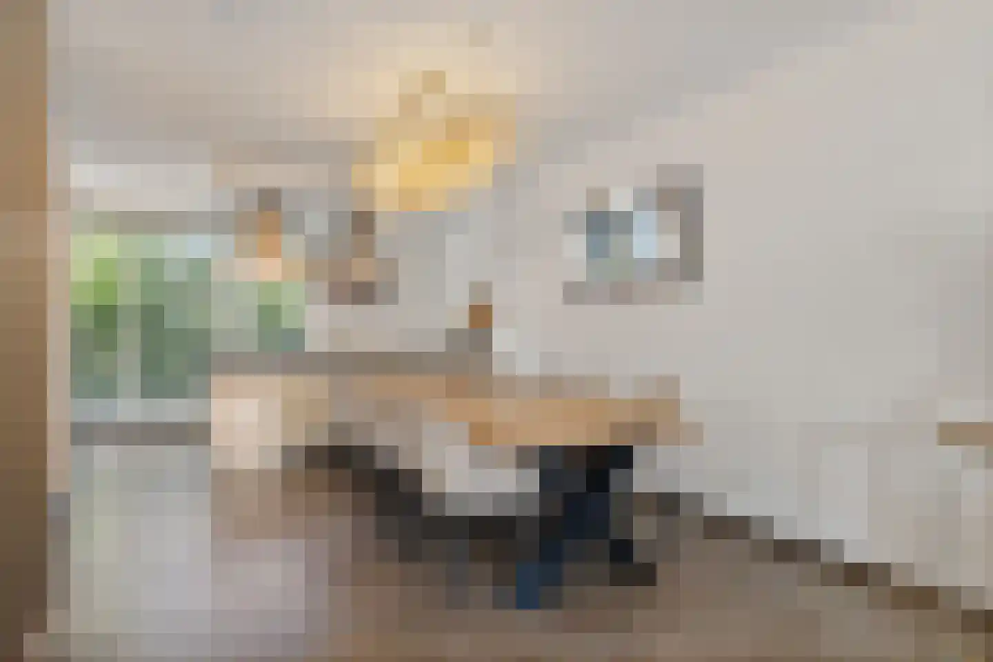 Lombok 28 Zoetermeer thumbnail 15