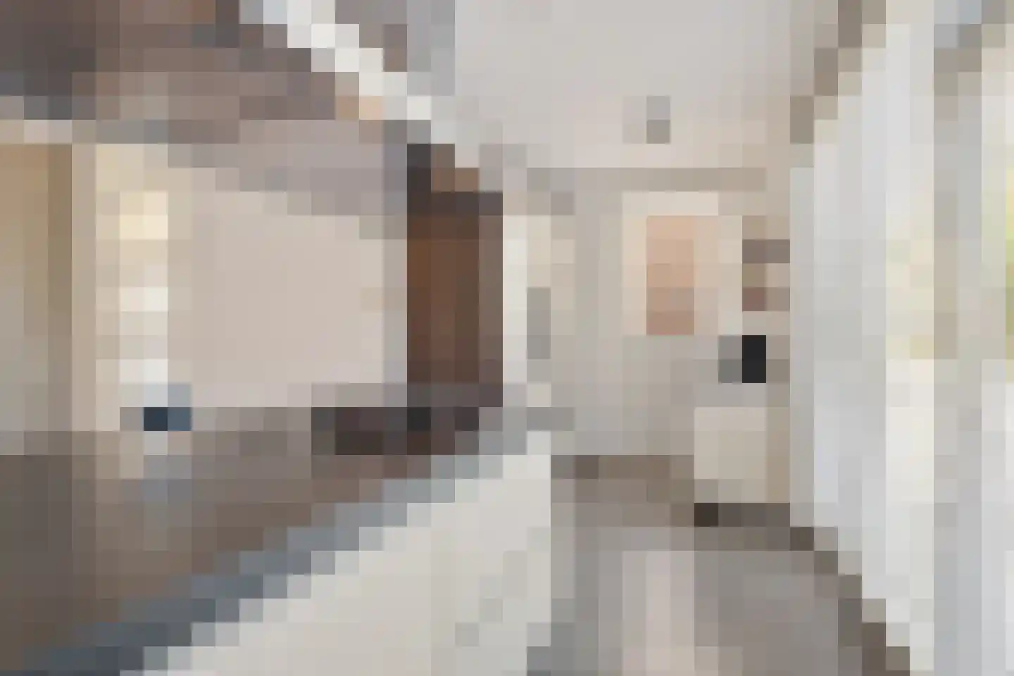 Lombok 28 Zoetermeer thumbnail 18