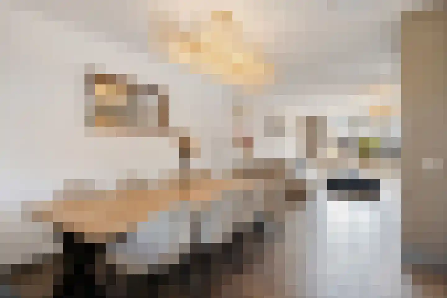 Lombok 28 Zoetermeer thumbnail 20