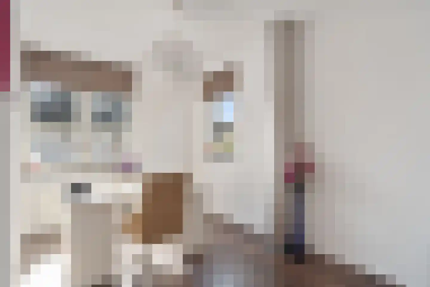 Lombok 28 Zoetermeer thumbnail 33
