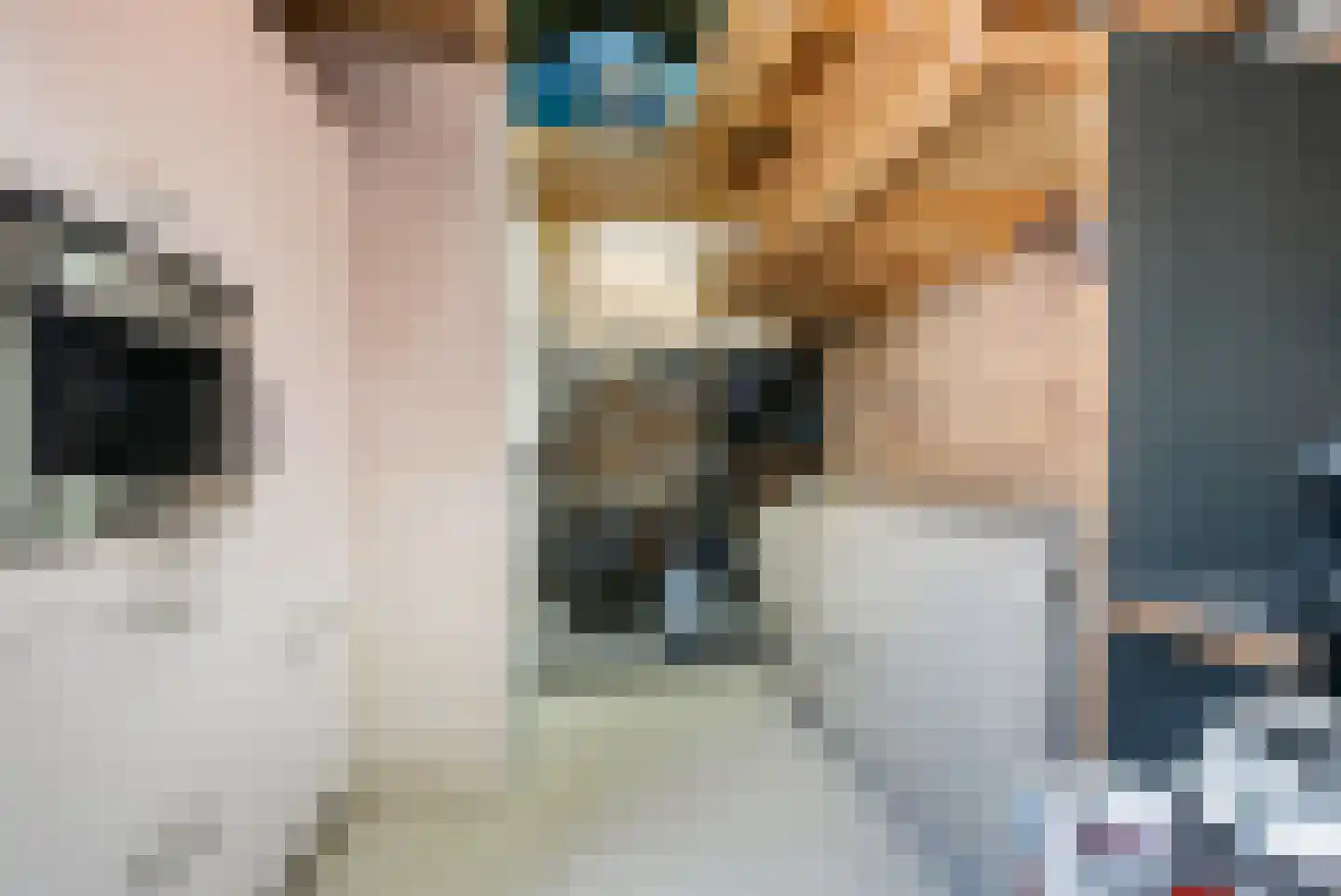 Lombok 28 Zoetermeer thumbnail 51