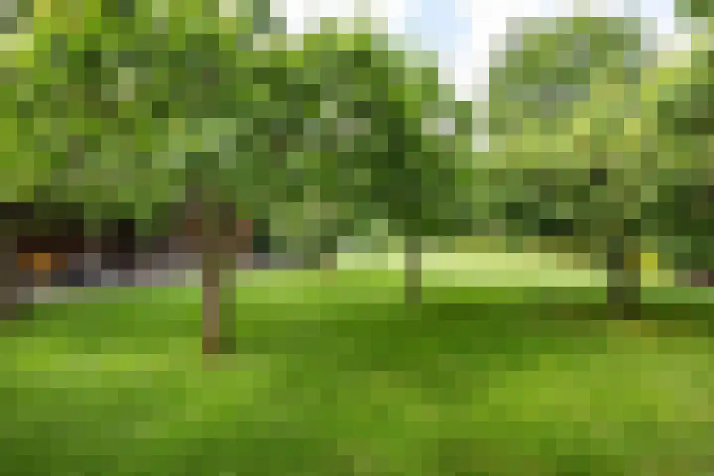 Lombok 33 Winsum thumbnail 61