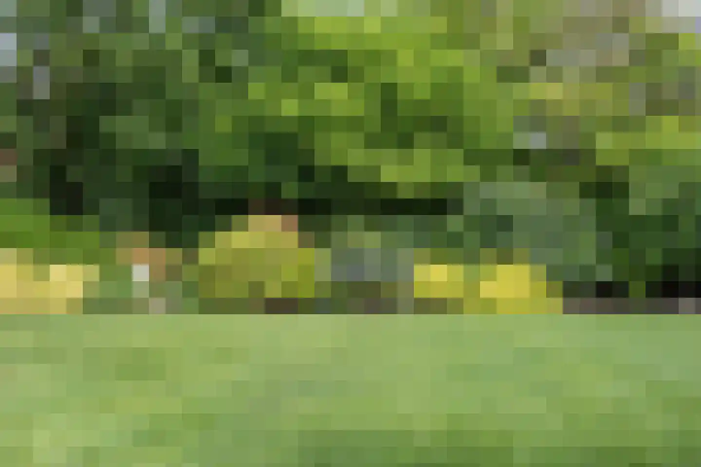 Lombok 33 Winsum thumbnail 62