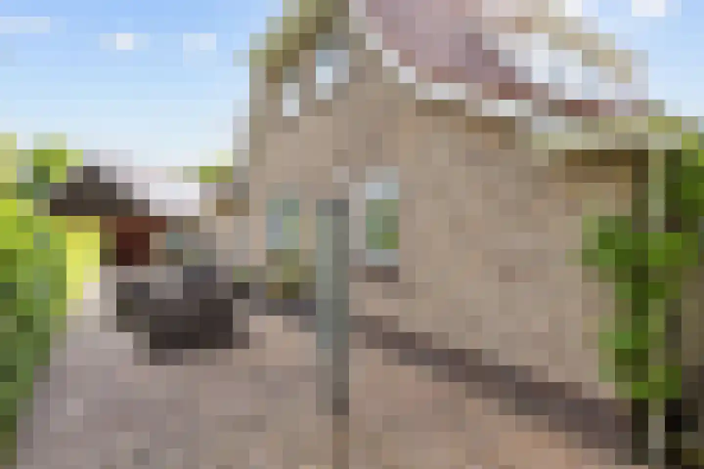 Lombok 33 Winsum thumbnail 64