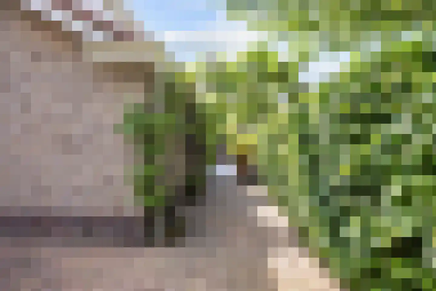 Lombok 33 Winsum thumbnail 65