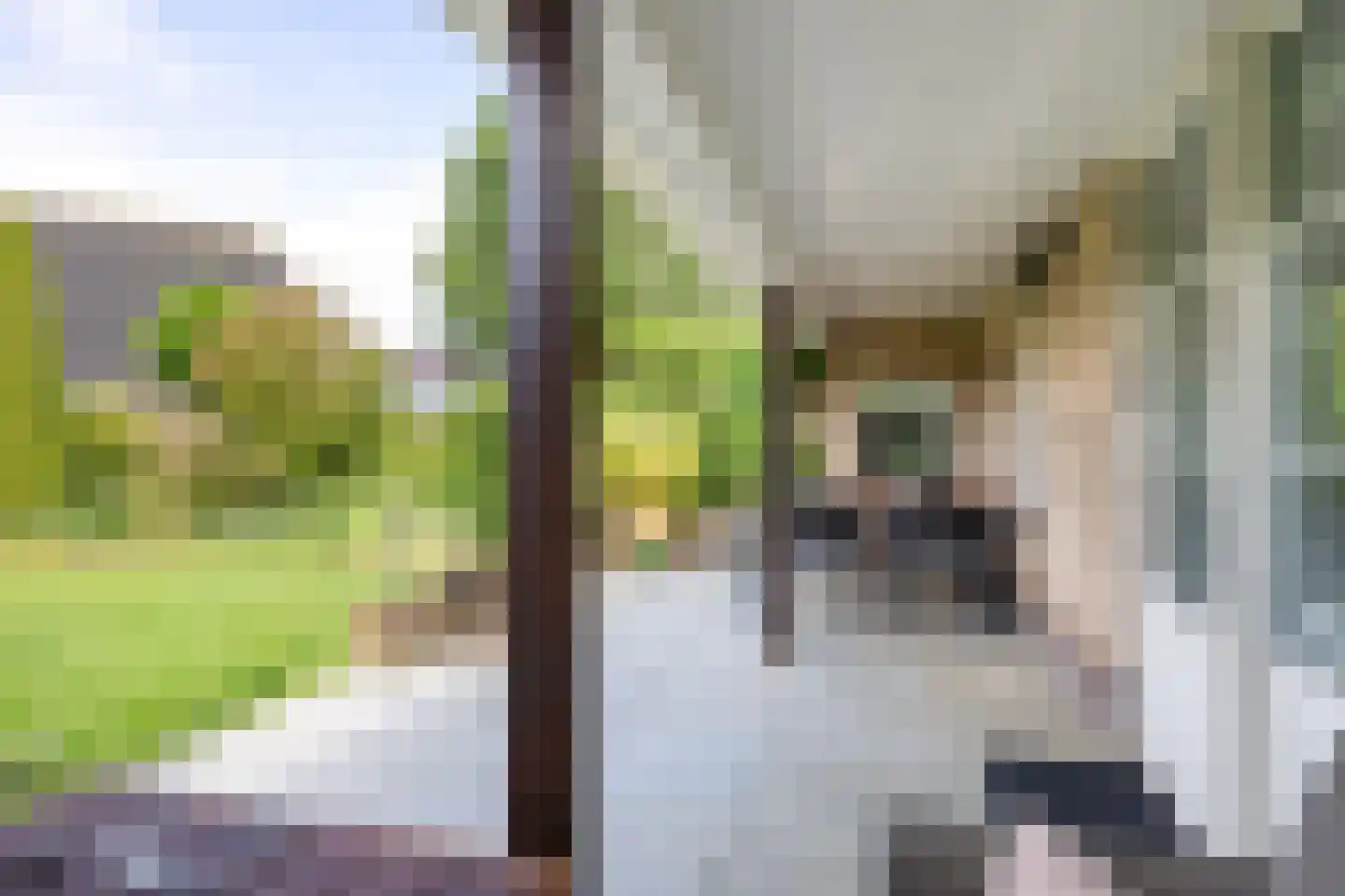 Lombok 33 Winsum thumbnail 67