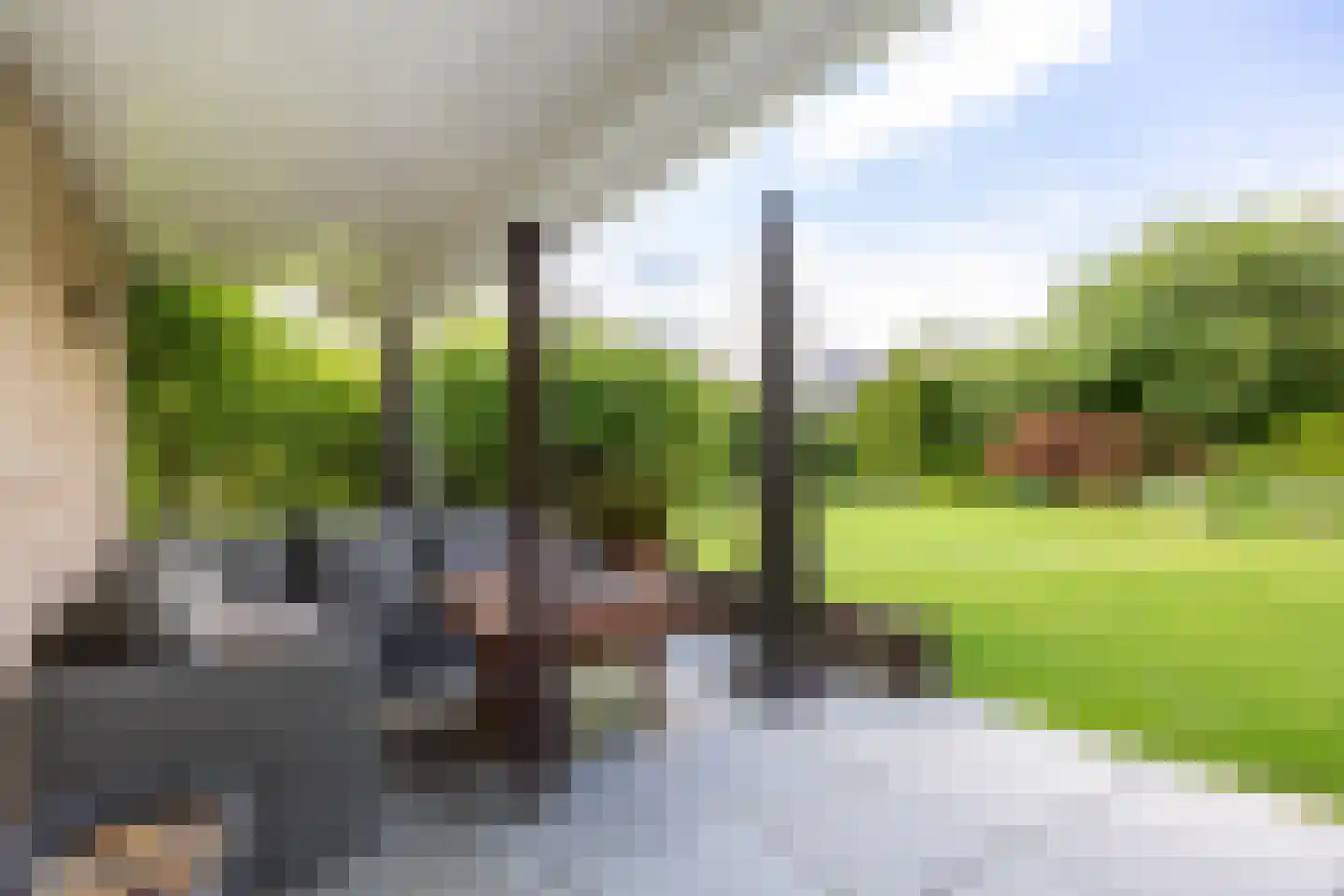 Lombok 33 Winsum thumbnail 68