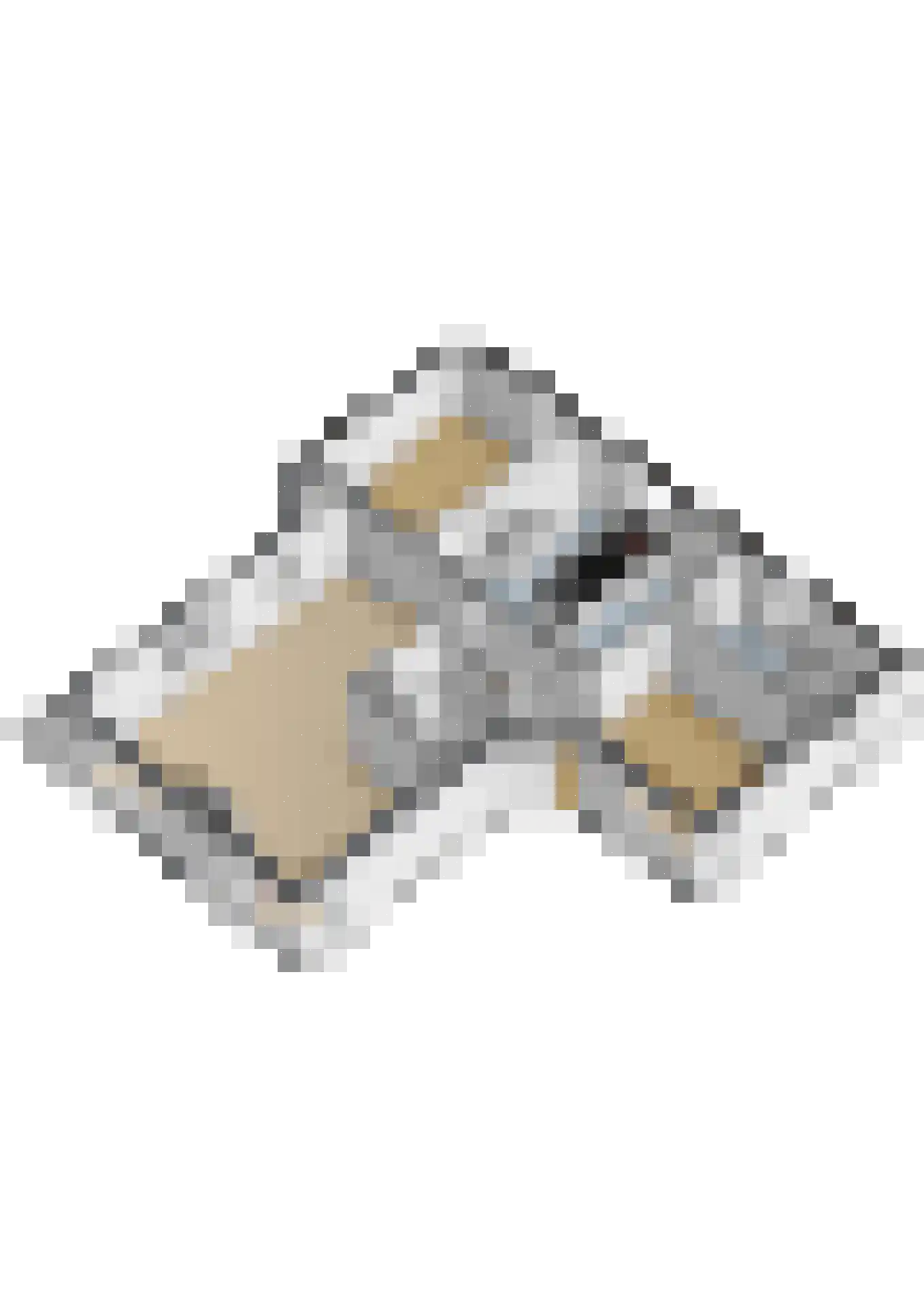 Lombok 33 Winsum thumbnail 86