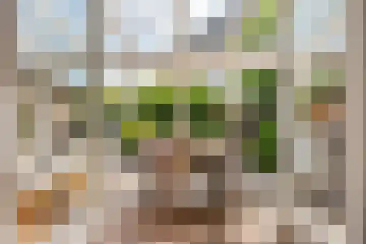 Lombok 46 Zoetermeer thumbnail 10