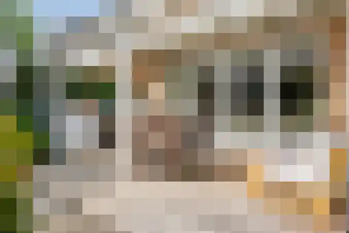 Lombok 46 Zoetermeer thumbnail 11