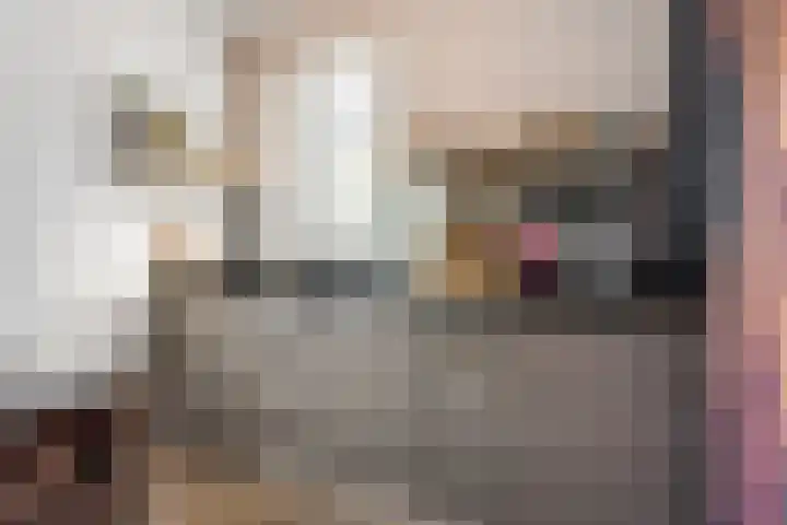 Lombok 46 Zoetermeer thumbnail 17