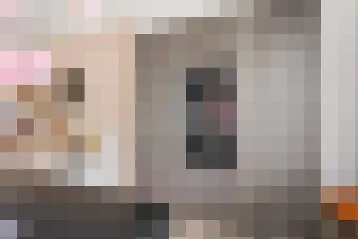 Lombok 46 Zoetermeer thumbnail 18