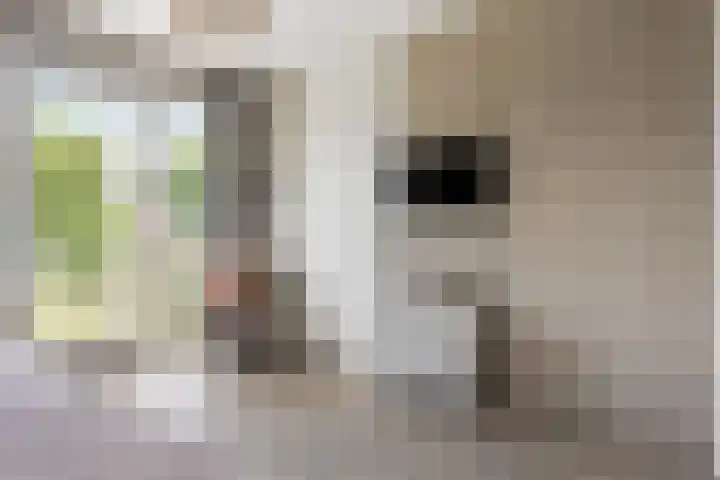 Lombok 46 Zoetermeer thumbnail 21