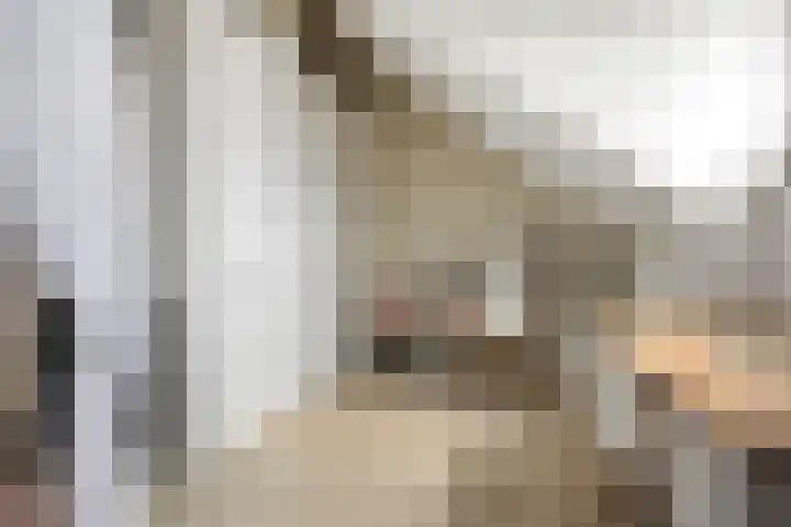 Lombok 46 Zoetermeer thumbnail 29