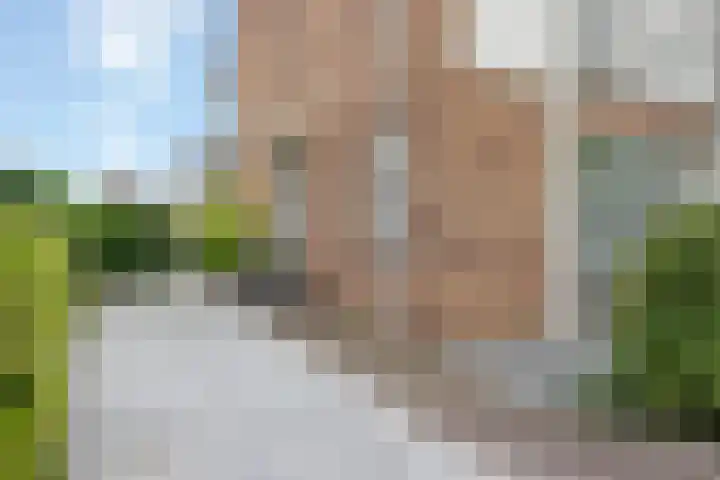 Lombok 46 Zoetermeer thumbnail 37