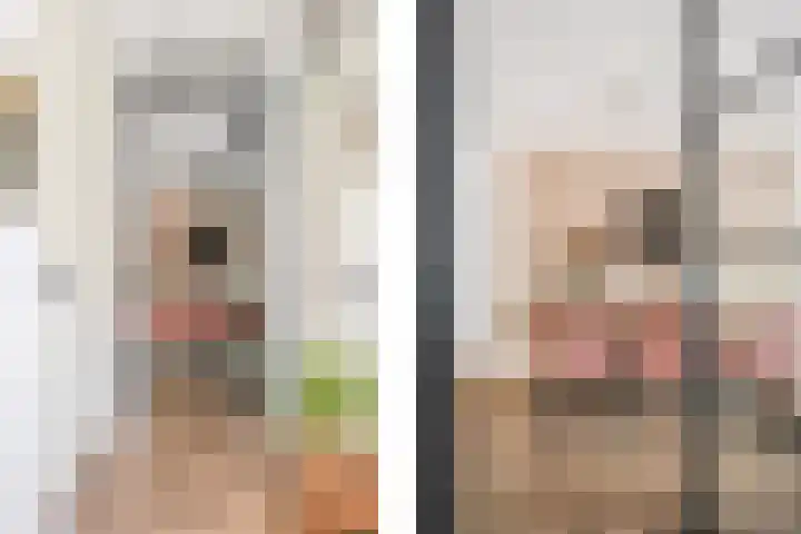 Lombok 46 Zoetermeer thumbnail 4