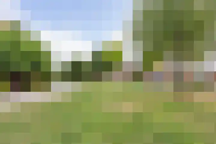 Lombok 46 Zoetermeer thumbnail 41