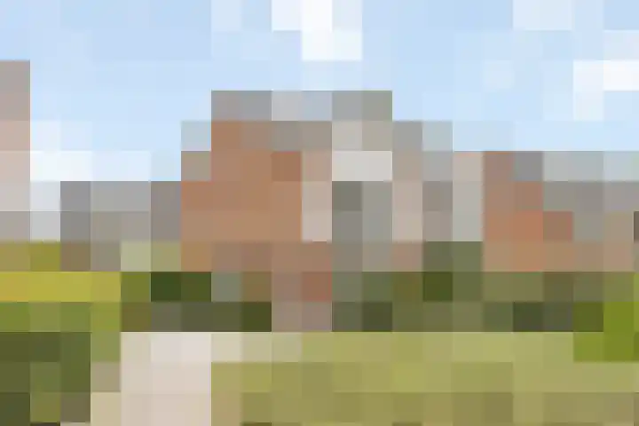 Lombok 46 Zoetermeer thumbnail 44
