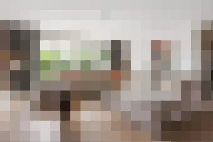 Lombok 46 Zoetermeer thumbnail 7