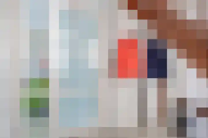 Lombok 56 Zoetermeer thumbnail 10