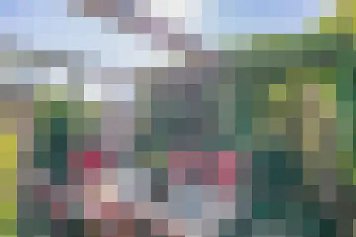 Lombok 56 Zoetermeer thumbnail 23