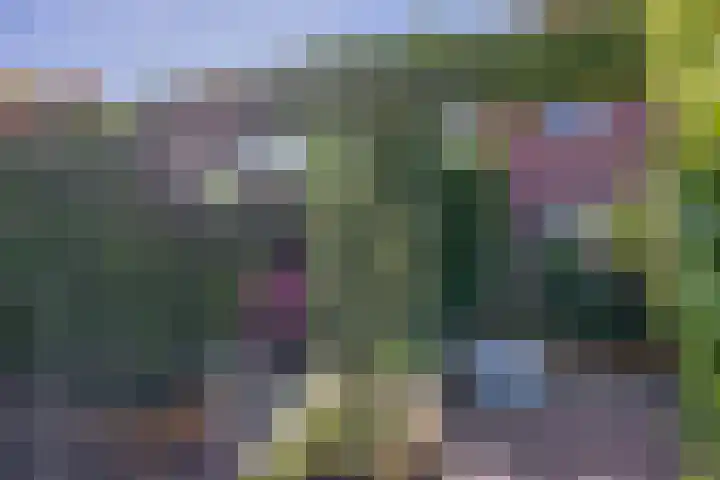 Lombok 56 Zoetermeer thumbnail 24