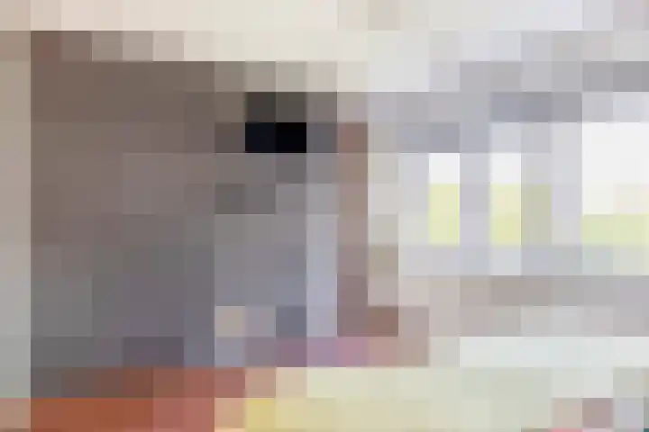 Lombok 56 Zoetermeer thumbnail 30