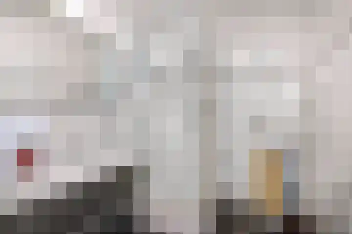 Lombok 56 Zoetermeer thumbnail 32