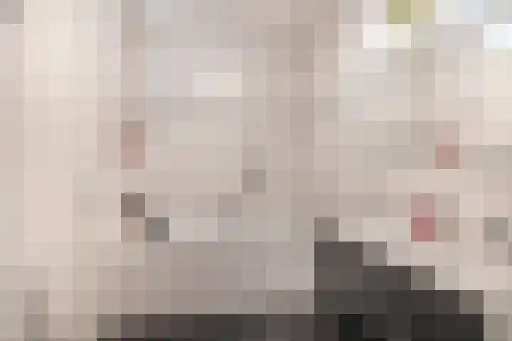 Lombok 56 Zoetermeer thumbnail 33